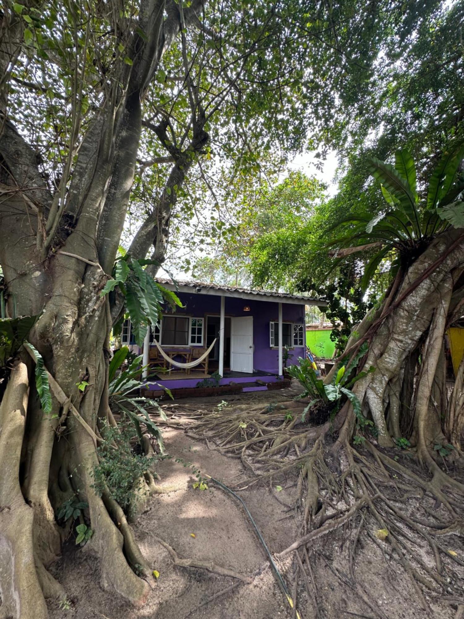 Colorful Hut Ξενοδοχείο Κο Πα Νγκαν Εξωτερικό φωτογραφία